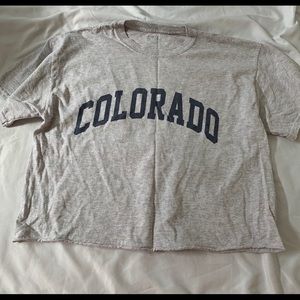 brandy melville cropped t-shirt